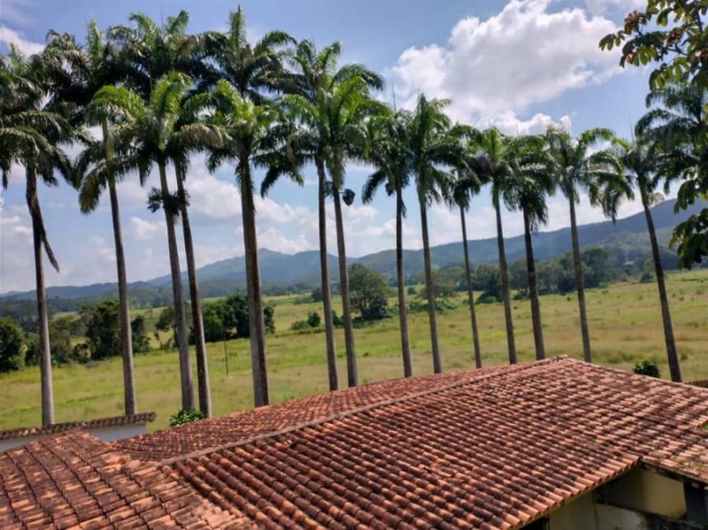 Finca en Venta en Valencia Valencia, Carabobo