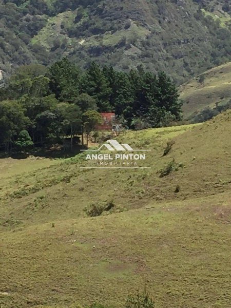 Finca en Venta en  Michelena, Táchira