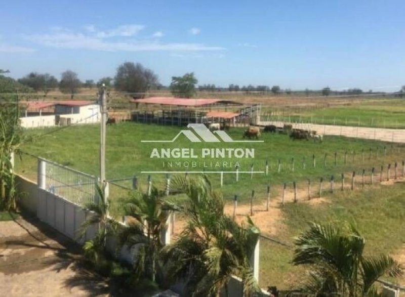 FINCA EN VENTA EN EL MUNICIPIO BUCHIVACOA EDO FALCON API 4563