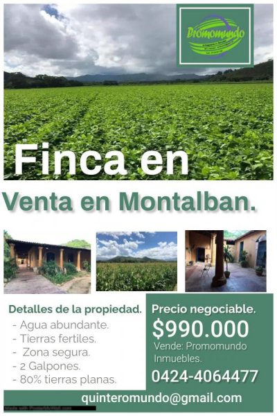 Finca en Venta en Montalbán Montalbán, Carabobo