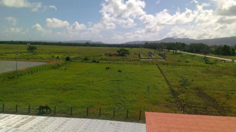 Foto Finca en Venta en YARACAL, YARACAL, Falcón - U$D 750.000 - FIV185882 - BienesOnLine