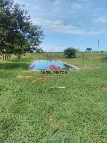 Foto Finca en Venta en Los Puertos de Altagracia, Zulia - U$D 180.000 - FIV182238 - BienesOnLine