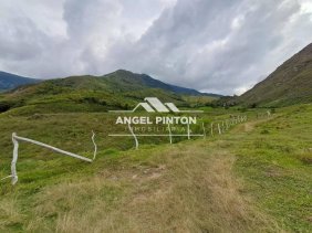 Finca en Venta en  Valera, Trujillo