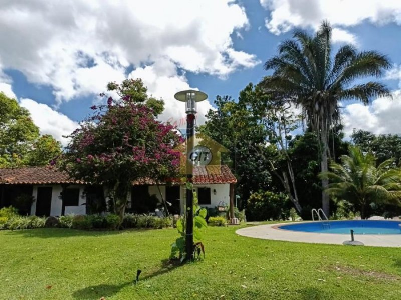 Finca en Venta Sabana de Arriba (Miranda)