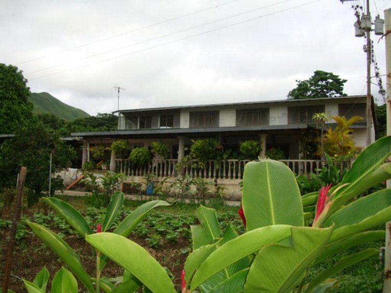 Foto Finca en Venta en Morocopo, Las Tejerías, Aragua - BsF 60.000.000 - FIV96399 - BienesOnLine