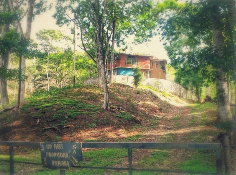 Finca en Venta en  Villa de Cura, Aragua