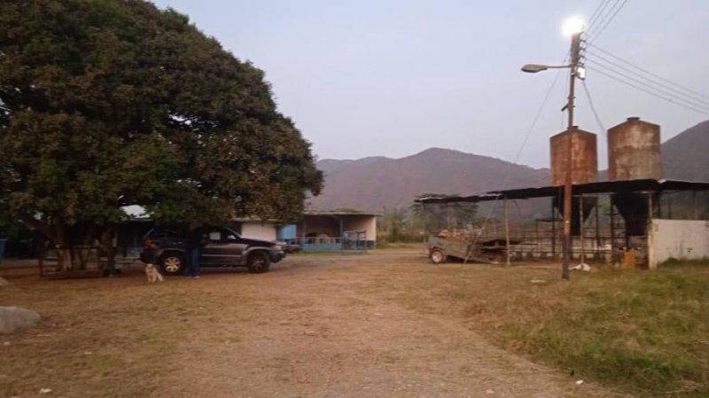 Foto Finca en Venta en Montalbán, Carabobo - U$D 250.000 - FIV208837 - BienesOnLine