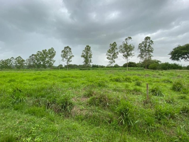 Finca en Venta en @phagrovzla Valencia, Carabobo