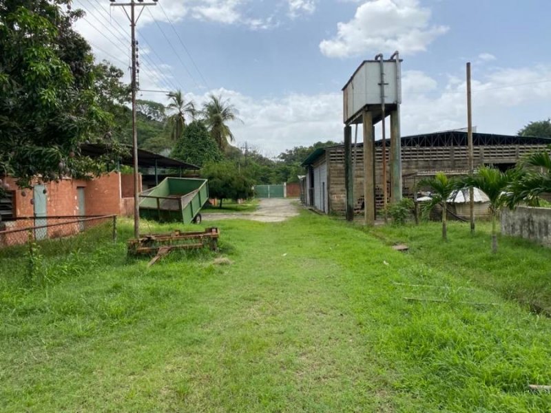 Finca en Venta en @phagrovzla Valencia, Carabobo