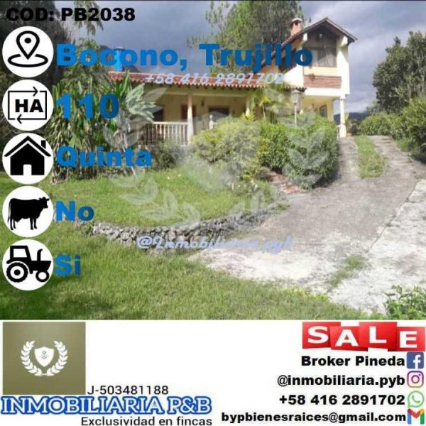 Foto Finca en Venta en Boconó, Trujillo - 100 hectareas - U$D 590.000 - FIV194009 - BienesOnLine