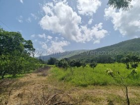 Finca en Venta en bejuma Bejuma, Carabobo
