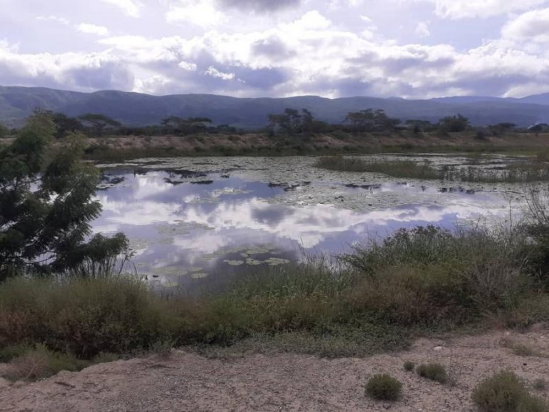 Finca en Venta en  Carora, Lara