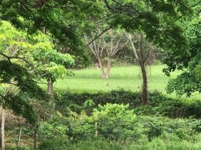 Terreno en Venta en  Jacura, Falcón