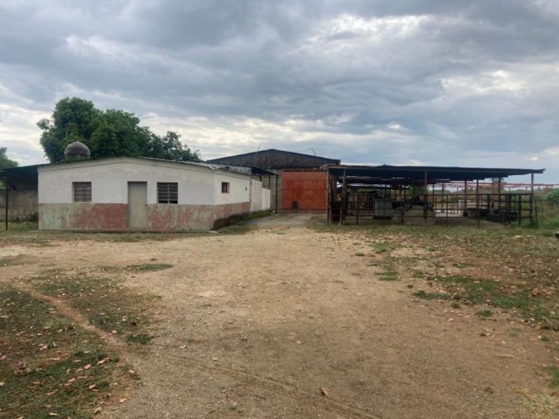 finca productora en el socorro la mariposa