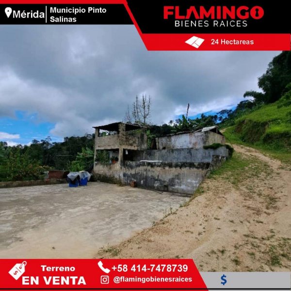 Foto Finca en Venta en Santa Cruz de Mora, Mérida - 24 hectareas - U$D 100.000 - FIV220826 - BienesOnLine