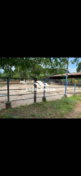 Finca en Venta en  Machiques, Zulia