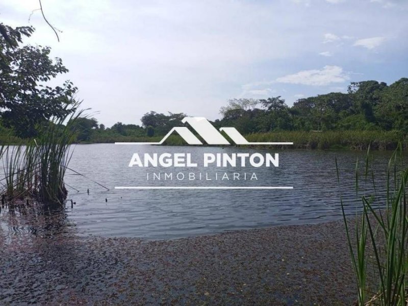 Finca en Venta en  Machiques, Zulia