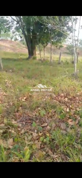 Finca en Venta en  Machiques, Zulia