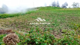 FINCA VENTA EN SAN JACINTO TRUJILLO API 7251