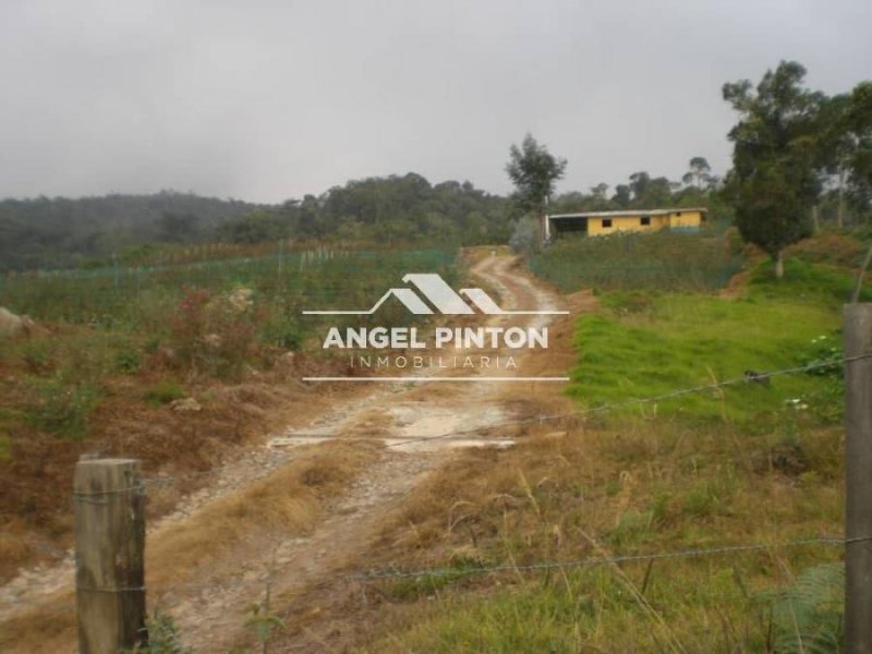 Finca en Venta en  San Cristóbal, Táchira