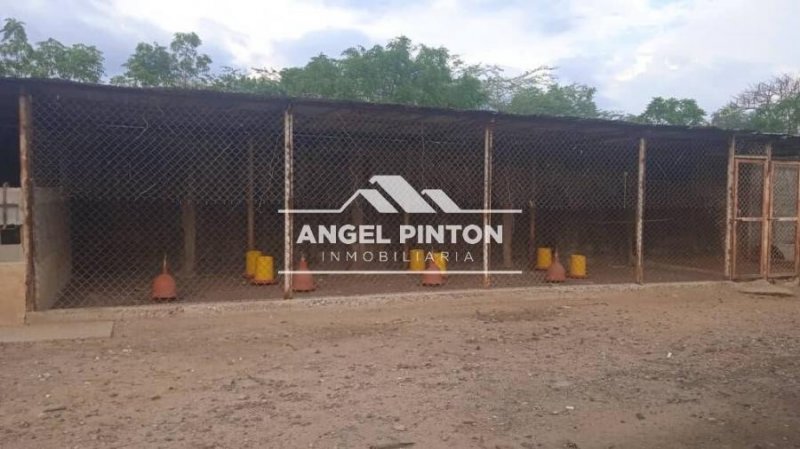 Finca en Venta en  Ciudad Ojeda, Zulia
