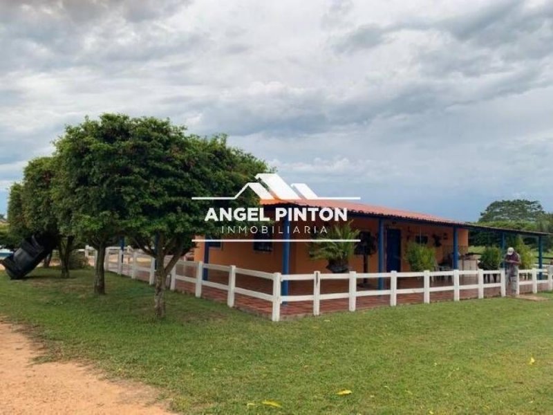 Finca en Venta en  Machiques, Zulia