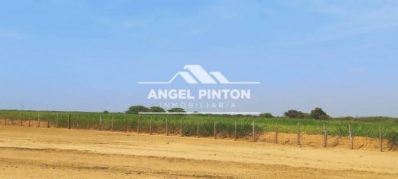 Finca en Venta en  Mene de Mauroa, Falcón