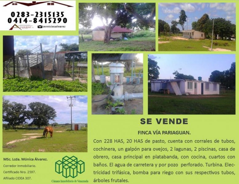 Foto Finca en Venta en Pariaguán, Anzoátegui - 228 hectareas - BsF 19.000.000 - FIV111229 - BienesOnLine