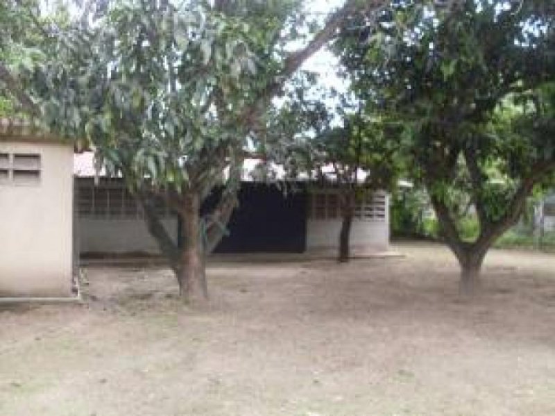 Foto Galpon en Venta en Turmero, Aragua - BsF 1.000.000 - GAV51599 - BienesOnLine