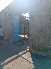 Galpon en Alquiler en  Naguanagua, Carabobo