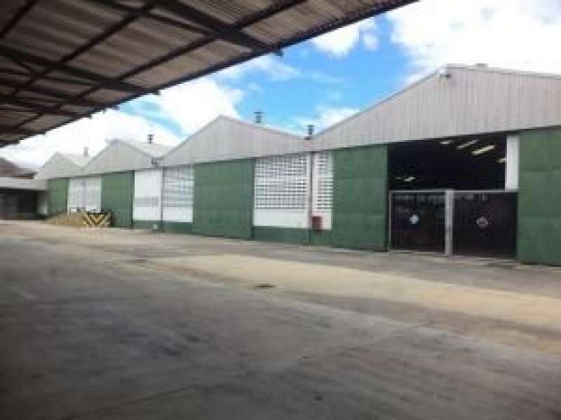 Foto Galpon en Venta en Zona Industrial, Valencia, Carabobo - U$D 2.400.000 - GAV157054 - BienesOnLine