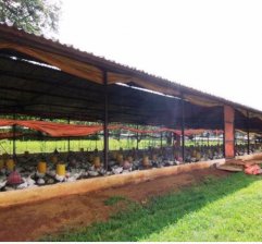 Terreno en Venta en sector la bomba El Tigre, Anzoátegui