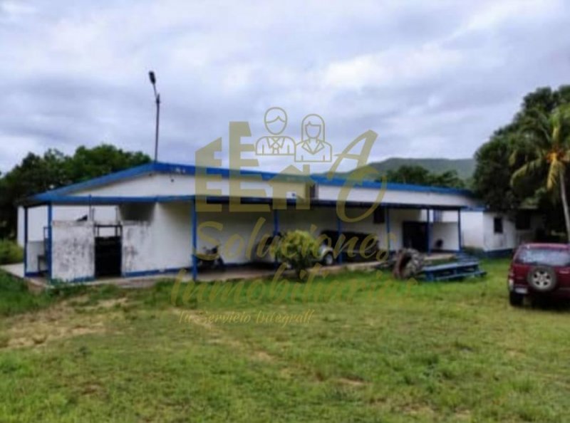 Hacienda en Venta en  Bejuma, Carabobo