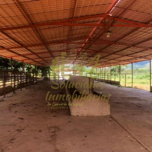 Hacienda en Venta en  Bejuma, Carabobo