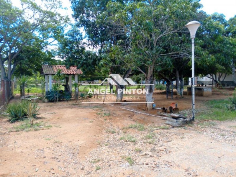 GRANJA EN VENTA SECTOR TAMAQUITA BARQUISIMETO API 6511 JANETTE PEREZ