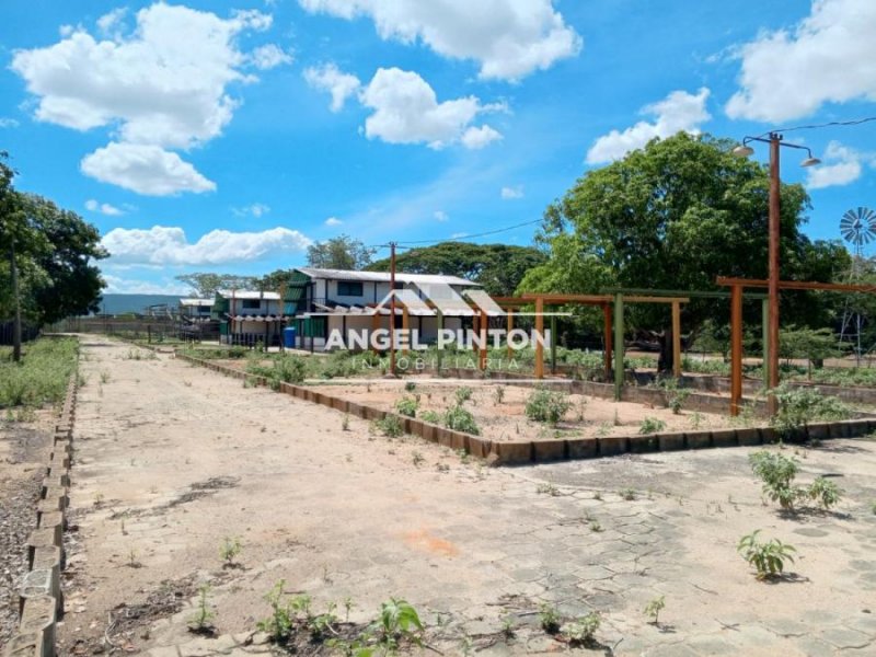 GRANJA EN VENTA TAMAQUITA BARQUISIMETO API 6513 JANETTE PEREZ