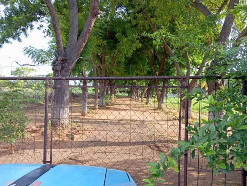 Finca en Venta en FRANCISCO EUGENIO BUSTAMANTE Via Palito Blanco, Maracaibo, Zulia, Venezuela, Zulia