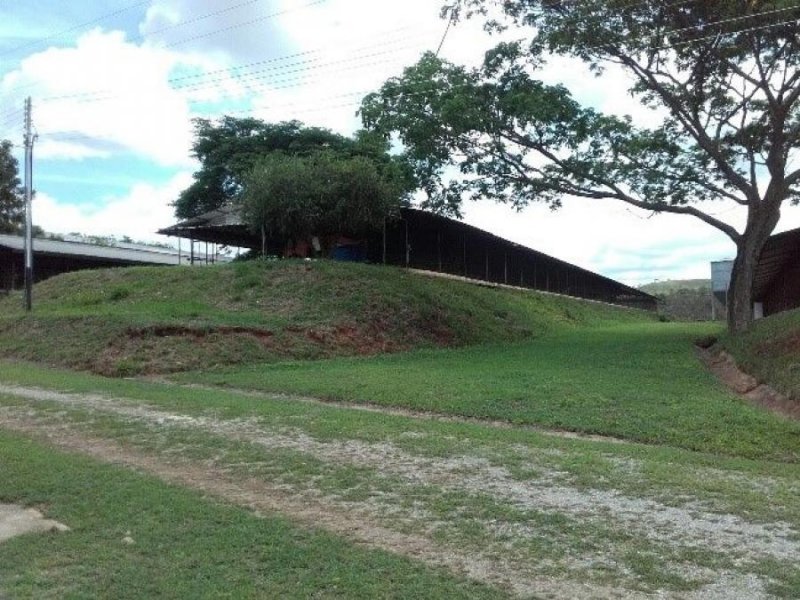 Hacienda en Venta en  Tinaquillo, Cojedes