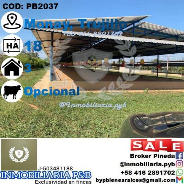 Foto Finca en Venta en Pampán, Trujillo - 17 hectareas - U$D 180.000 - FIV193468 - BienesOnLine