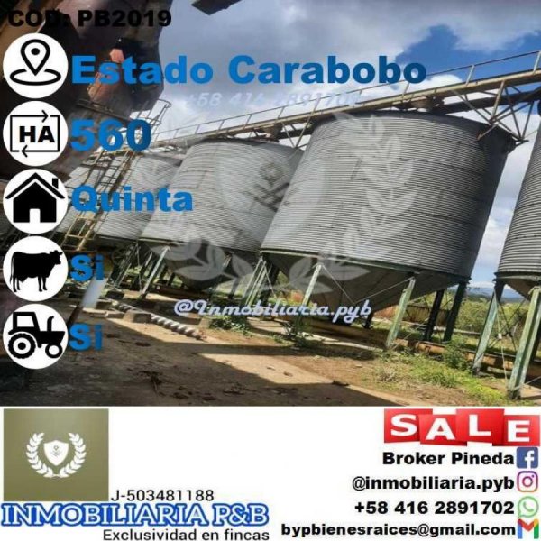 Finca en Venta en  Valencia, Carabobo