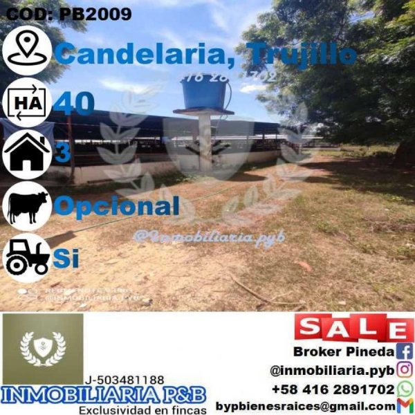 Finca en Venta en  Sabana Grande, Trujillo