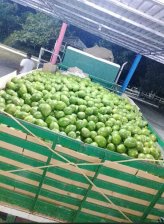 Finca en Venta en  Nirgua, Yaracuy