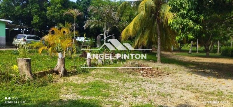 Foto Finca en Venta en OESTE, Maracaibo, Zulia - 3 hectareas - U$D 15.500 - FIV243435 - BienesOnLine