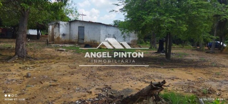 Finca en Venta en  Maracaibo, Zulia