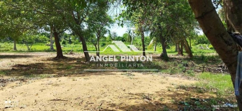 GRANJA VENTA SECTOR LOS LIRIOS VENANCIO PULGAR MARACAIBO API 6304