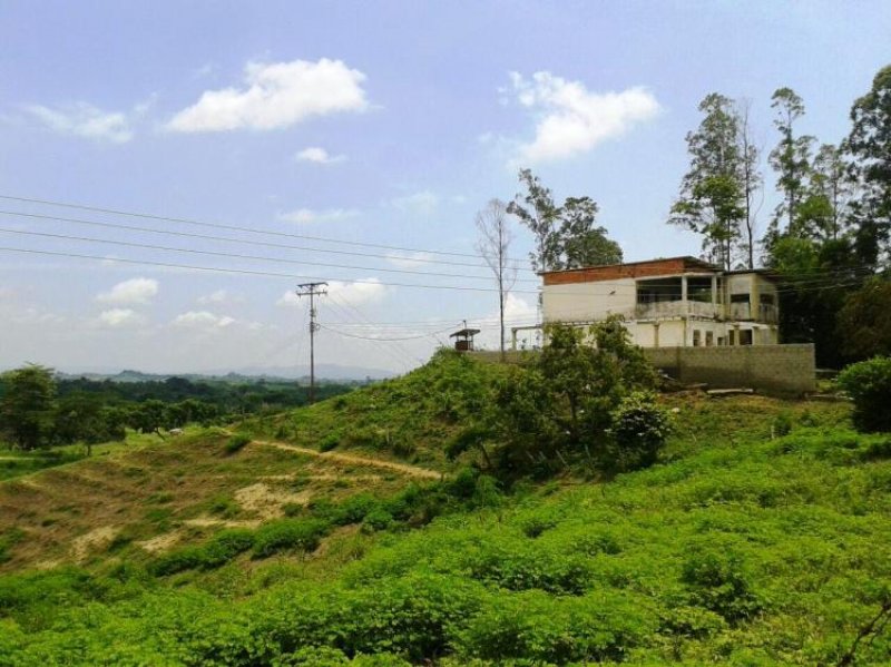 Foto Hacienda en Venta en San Felipe, Yaracuy - BsF 900 - HAV90987 - BienesOnLine