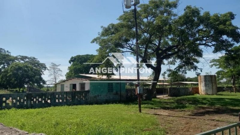 Hacienda en Venta en  Machiques, Zulia