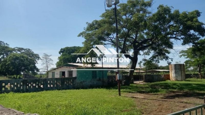 Hacienda en Venta en  Machiques, Zulia