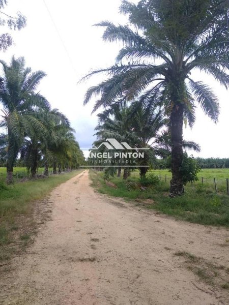 Hacienda en Venta en  Machiques, Zulia