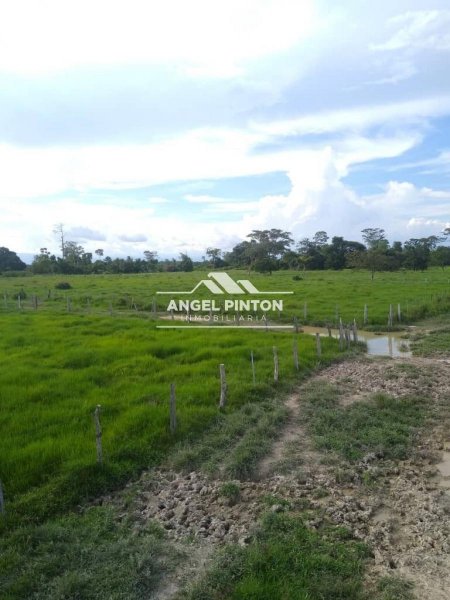 Hacienda en Venta en  Machiques, Zulia